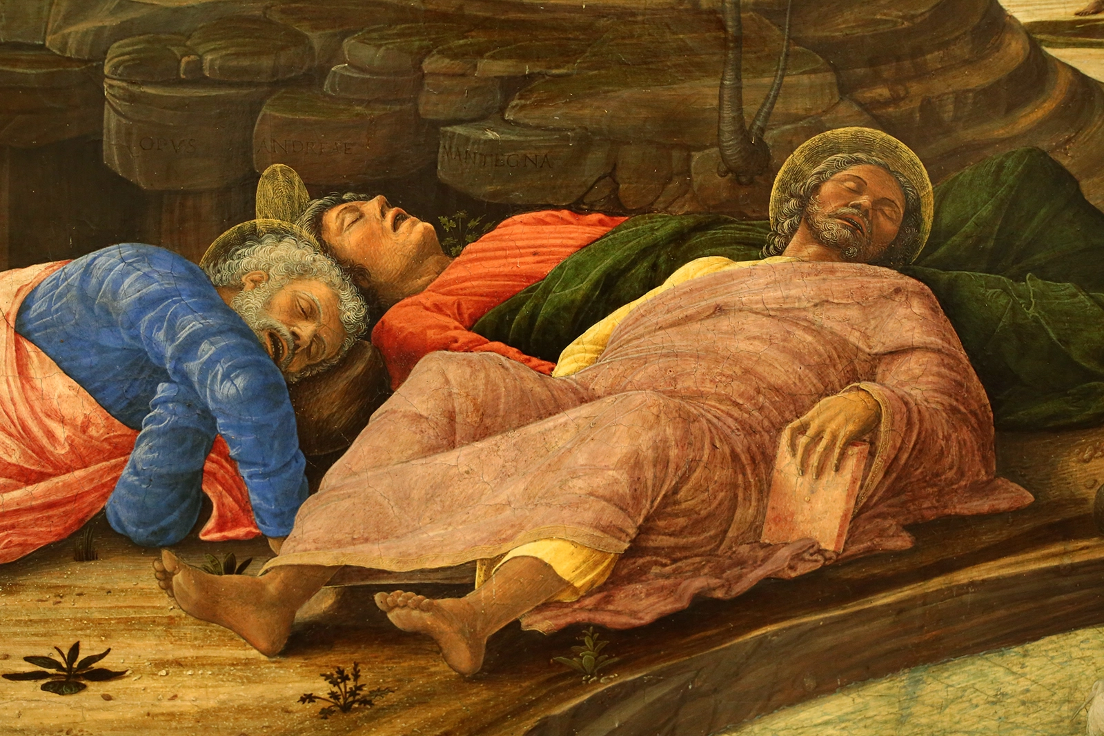 Pierwsza Niedziela Adwentu